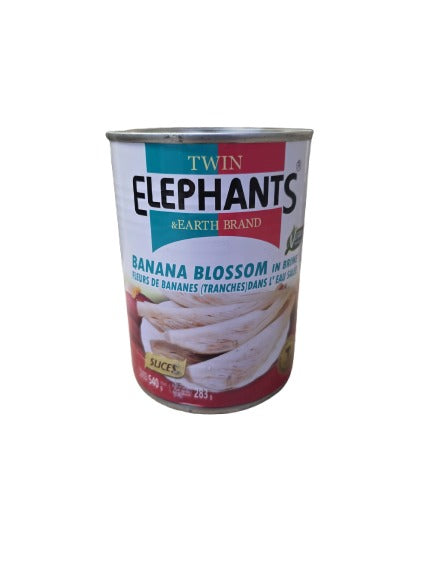 Twin Elephant Banana Blossom In Brine 540g